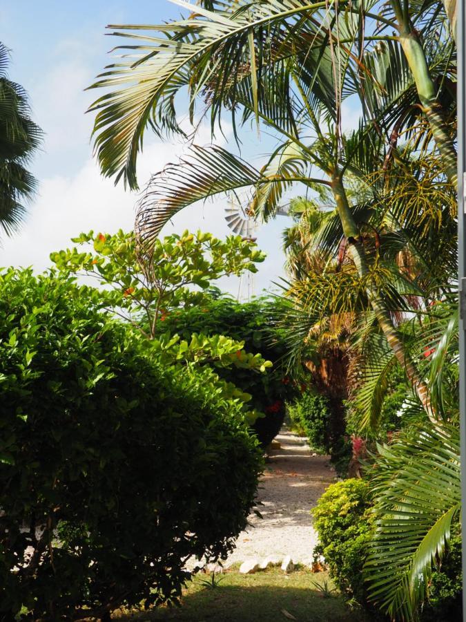 Kas Di Bami A-186 Op Seru Coral Resort - Ruim Appartement Met Groot Zwembad En Tropische Tuin 빌렘스타트 외부 사진
